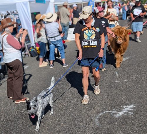 Agua Fria Festival 2025 Pics (103) - Copy