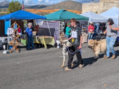 Agua Fria Festival 2025 Pics (83) - Copy - Copy