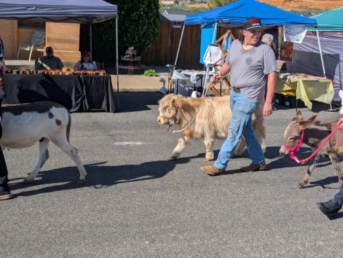 Agua Fria Festival 2025 Pics (84) - Copy - Copy